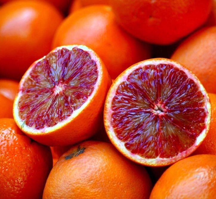تصویر 4 از خرید و قیمت پرتقال خونی + فروش صادراتی