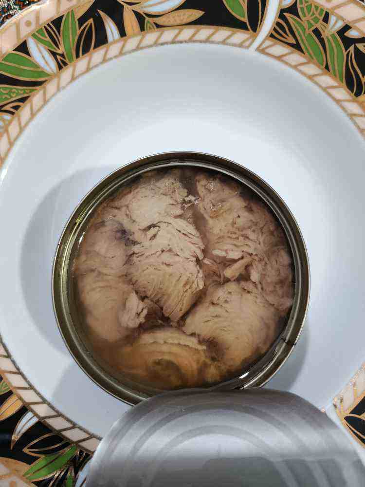 تصویر 1 از خرید و فروش کنسرو ماهی هوور ۱۸۰ گرمی + قیمت بسیار مناسب و متنوع