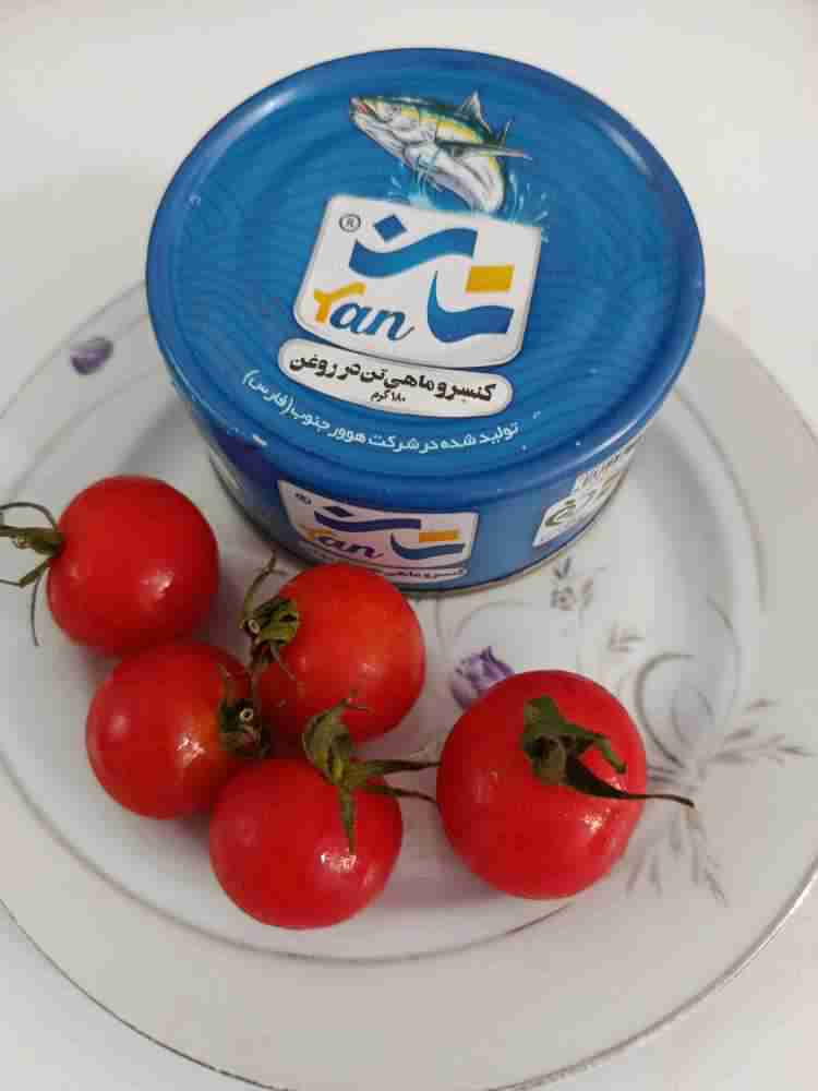 تصویر 1 از خرید و فروش تن ماهی هوور ۱۸۰ گرمی + قیمت روز بازار ایران