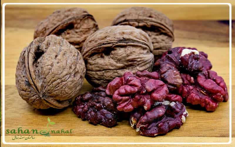 تصویر 4 از قیمت گردو + خرید باور نکردنی