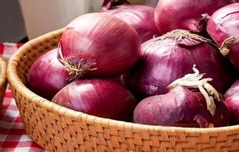 تصویر 1 از خرید عمده پیاز قرمز هرسین + ارسال مستقیم از مزارع هرسین