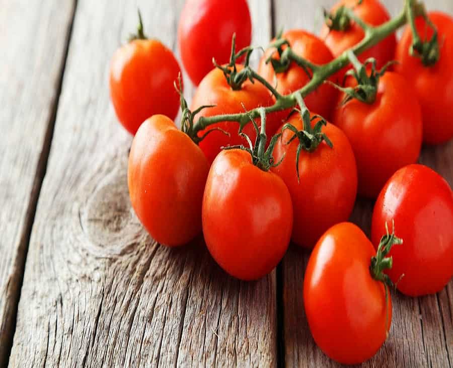 تصویر 1 از قیمت خرید گوجه گیلاسی+ فروش ویژه