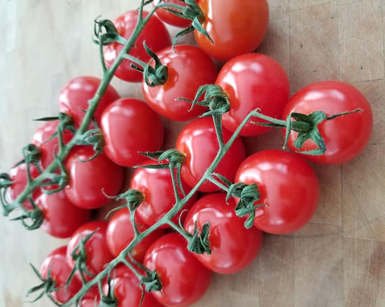 تصویر 3 از قیمت خرید گوجه گیلاسی+ فروش ویژه
