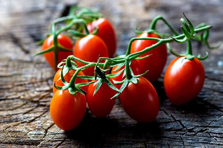 تصویر 5 از قیمت خرید گوجه گیلاسی+ فروش ویژه