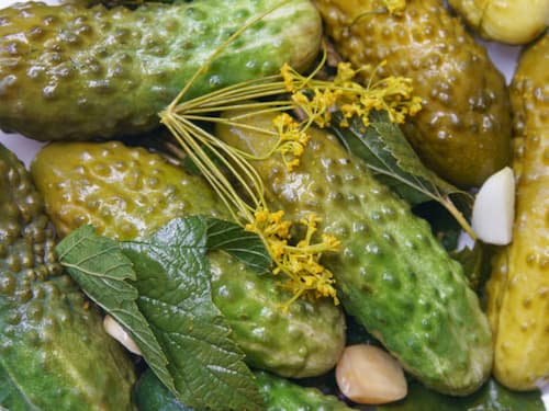 تصویر 4 از قیمت خرید خیارشور ارگانیک + فروش ویژه