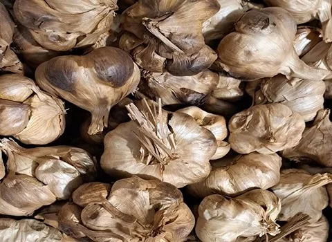 فروش استثنایی سیر سیاه سولان