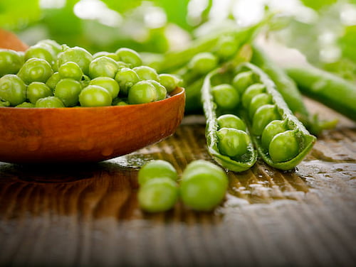 تصویر 5 از قیمت خرید کنسرو نخود فرنگی + فروش ویژه