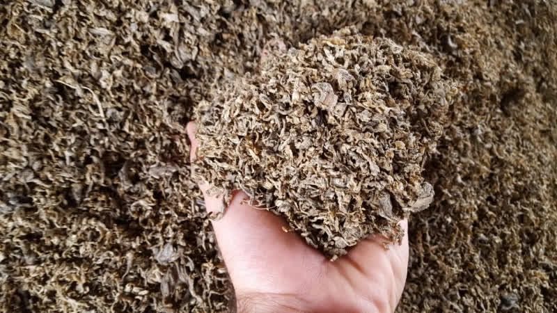 تصویر 3 از فروش تفاله خشک چغندر قند