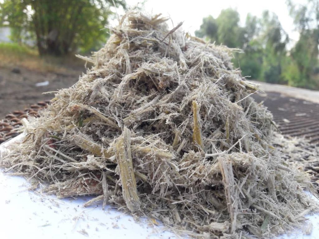 خرید شکر نیشکر