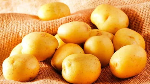 تصویر 5 از خرید عمده سیب زمینی خلال ساده نیمه آماده + فروش استثنایی