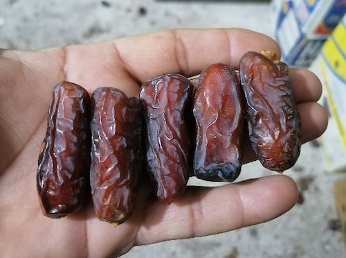 تصویر 5 از قیمت خرید خرما پیارم درجه 2 + فروش ویژه