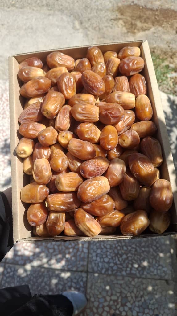 خرید فوری خرمای زاهدی + قیمت منصفانه