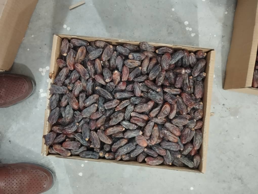 تصویر 2 از فروش ویژه خرمای ربی سیستان و بلوچستان + قیمت مناسب