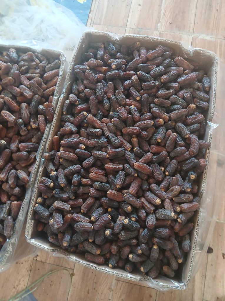 تصویر 1 از فروش ویژه خرمای ربی سیستان و بلوچستان + قیمت مناسب