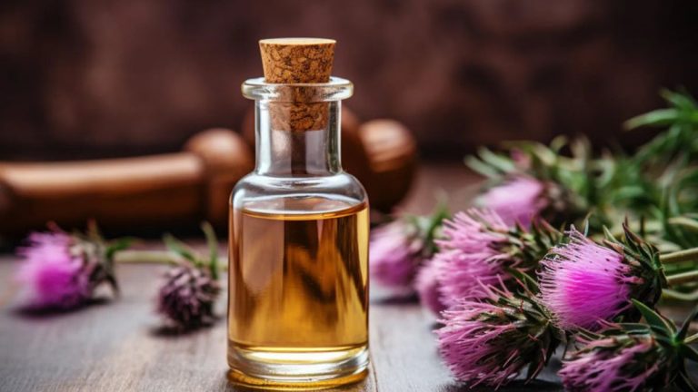 تصویر 1 از خرید عمده روغن خار مریم اصل