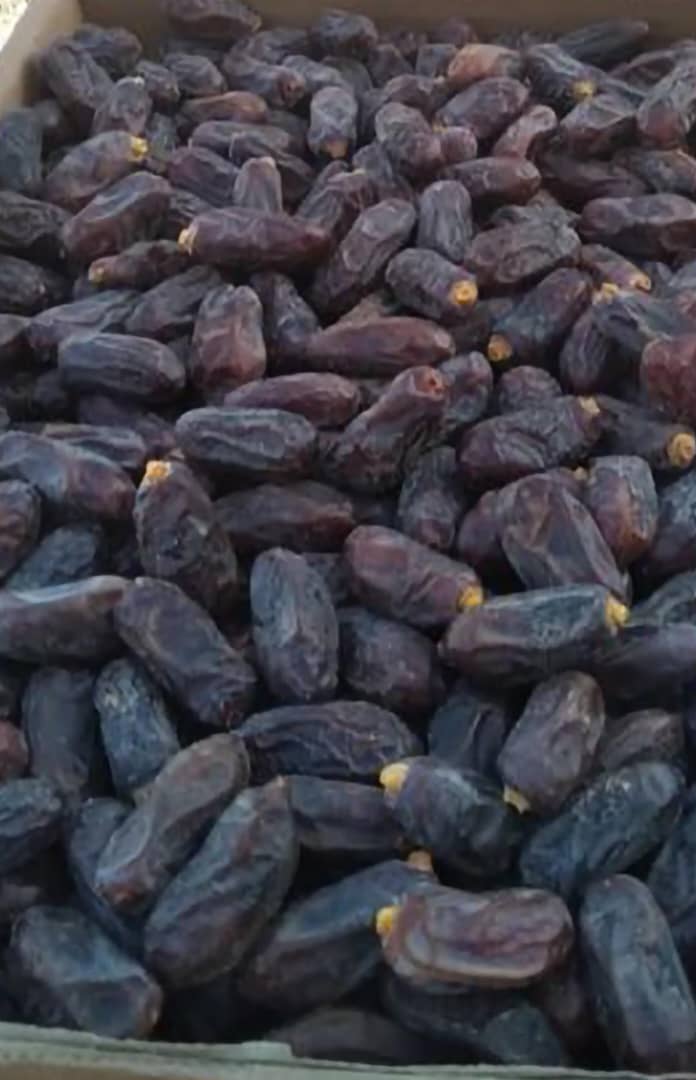 تصویر 4 از قیمت خرید خرما ربی با فروش عمده