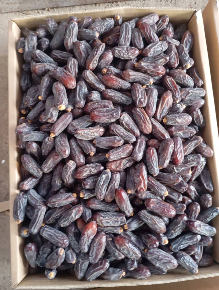 تصویر 3 از قیمت خرید خرما ربی با فروش عمده