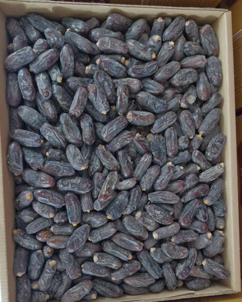 تصویر 1 از قیمت خرید خرما ربی با فروش عمده