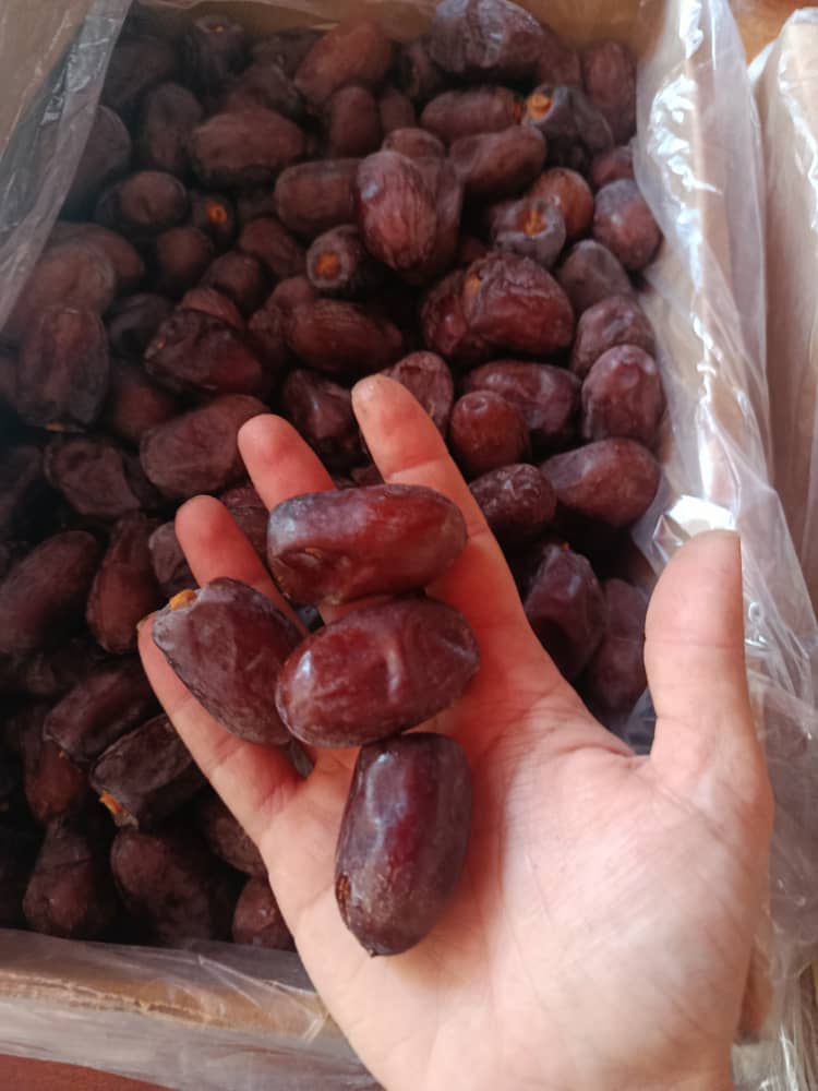 خرید خرمای کلوته کهنوج عمده صادراتی + فروش فوری