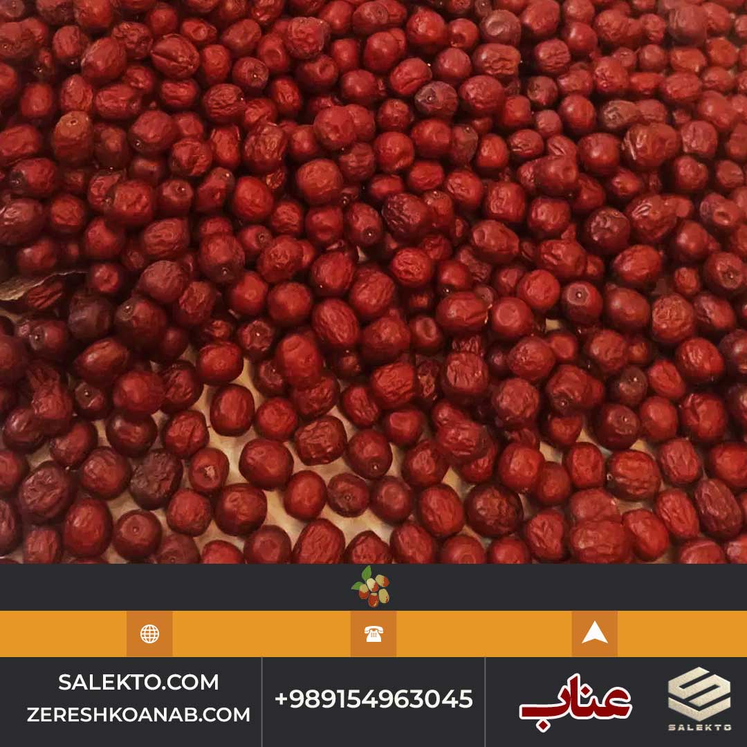 تصویر 3 از عناب خشک پر گوشت قائنات با بسته‌ بندی و ارسال سریع