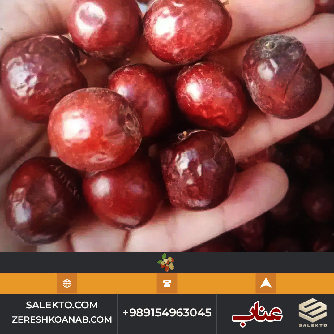 تصویر 2 از عناب خشک صادراتی با دانه‌ های سالم و طعم شیرین برای بازار های بین‌ المللی