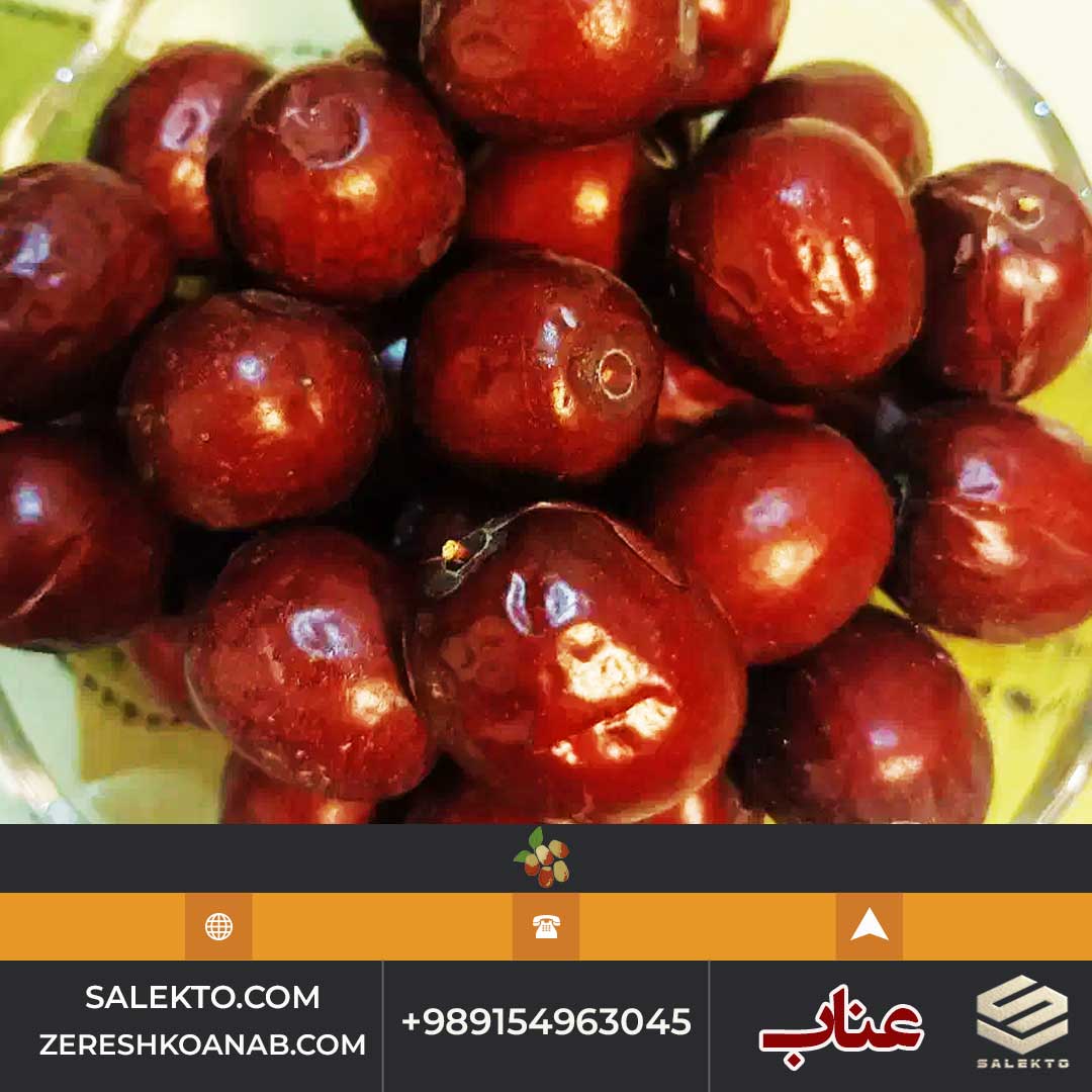 تصویر 3 از عناب خشک پر گوشت قائنات با خواص تقویت‌ کننده پوست و مو + خرید استثنائی