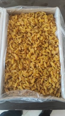 تصویر 1 از فروش کشمش زرد + با ضمانت برگشت