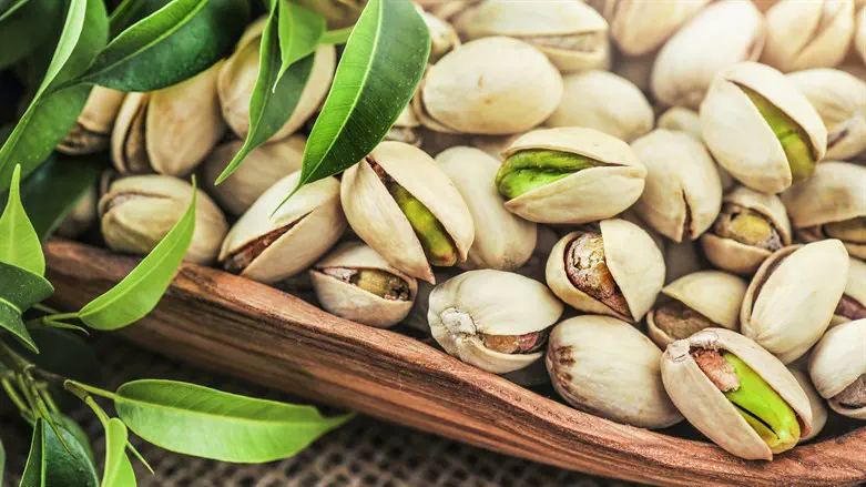 تصویر 2 از خرید پسته شور + قیمت فروش استثنایی