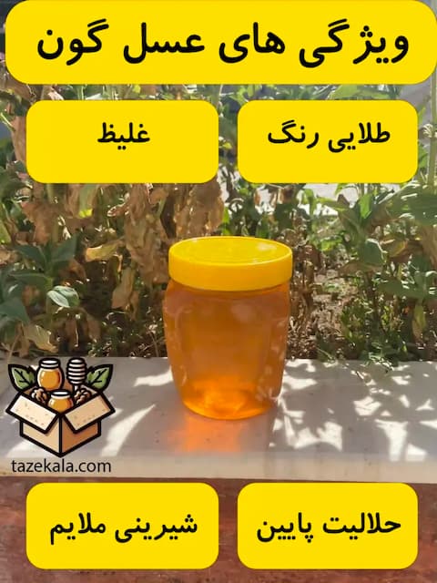 تصویر 1 از خرید عمده اینترنتی عسل گز + قیمت مناسب