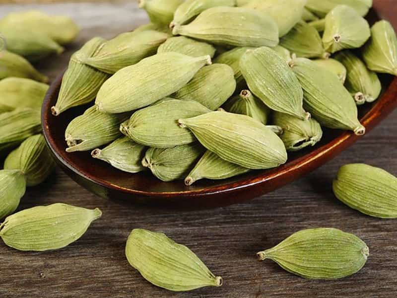 تصویر 2 از خرید و قیمت هل سبز + فروش عمده