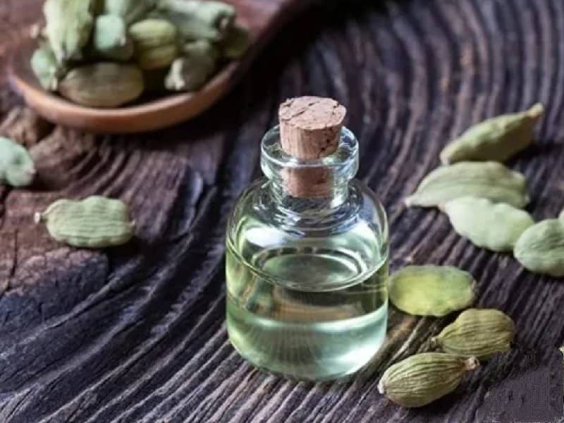 تصویر 4 از خرید و قیمت هل سبز + فروش عمده