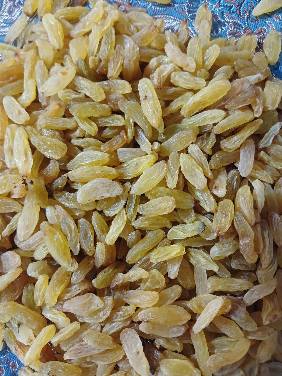 تصویر 1 از قیمت روز کشمش زرد طلایی + فروش عمده