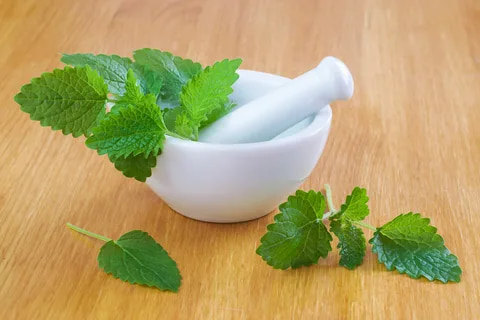 تصویر 2 از خرید و قیمت عرق کاسنی + فروش عمده