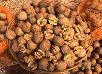 فروش گردو کاغذی + فروش عمده
