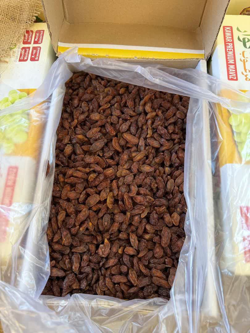 تصویر 1 از خرید مویز شیرازی با کیفیت برتر