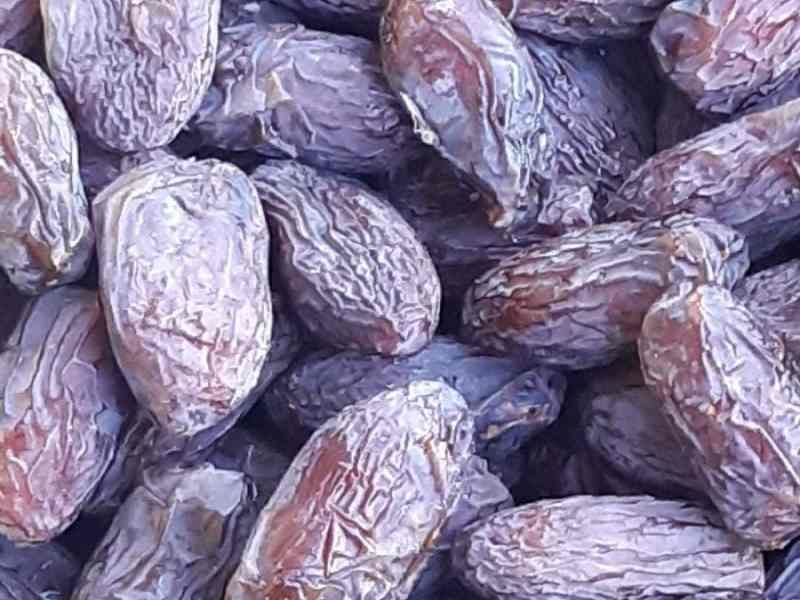 تصویر 4 از قیمت خرما مجول صادراتی با کیفیت ارزان + خرید عمده