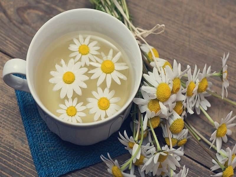 تصویر 4 از خرید و قیمت دمنوش بابونه + فروش عمده