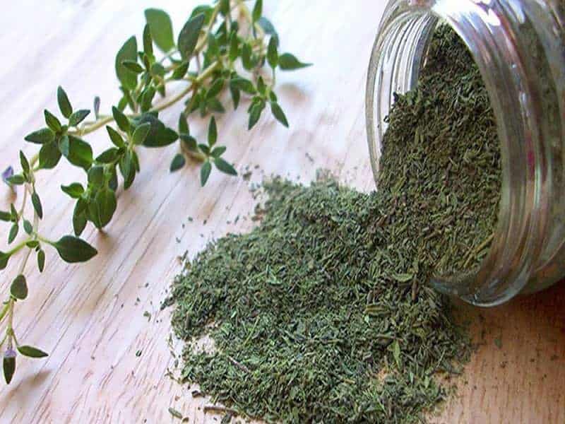 تصویر 4 از خرید و قیمت دمنوش آویشن شیرازی + فروش عمده