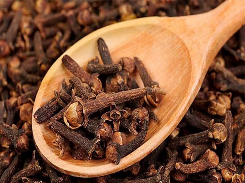 فروش دمنوش میخک