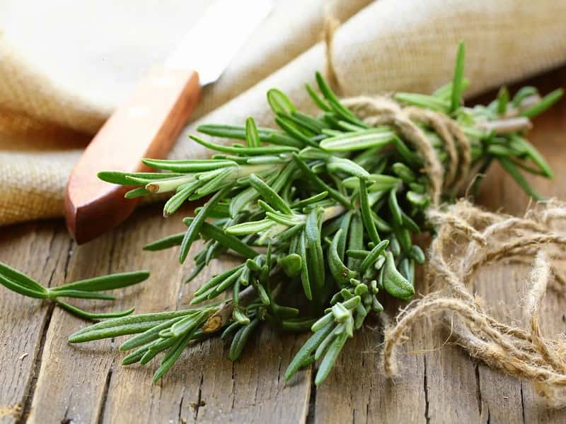فروش دمنوش رزماری