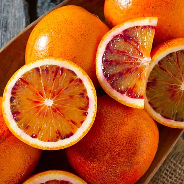 تصویر 4 از خرید و قیمت پرتقال + فروش عمده