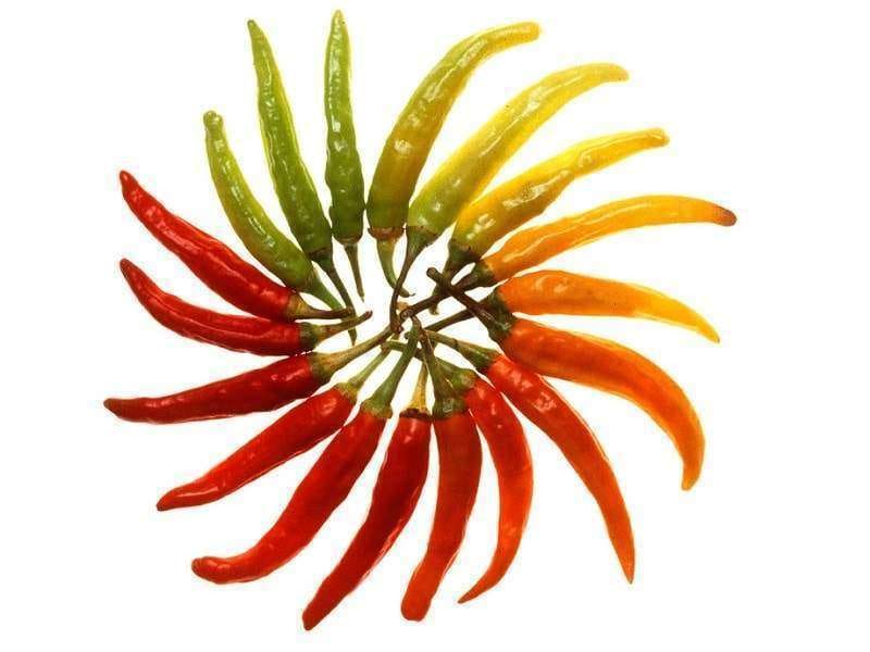 تصویر 2 از خرید و قیمت فلفل قرمز ایرانی + فروش عمده