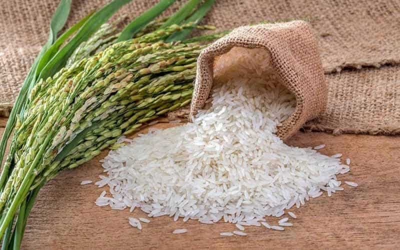 تصویر 3 از قیمت خرید برنج با فروش عمده