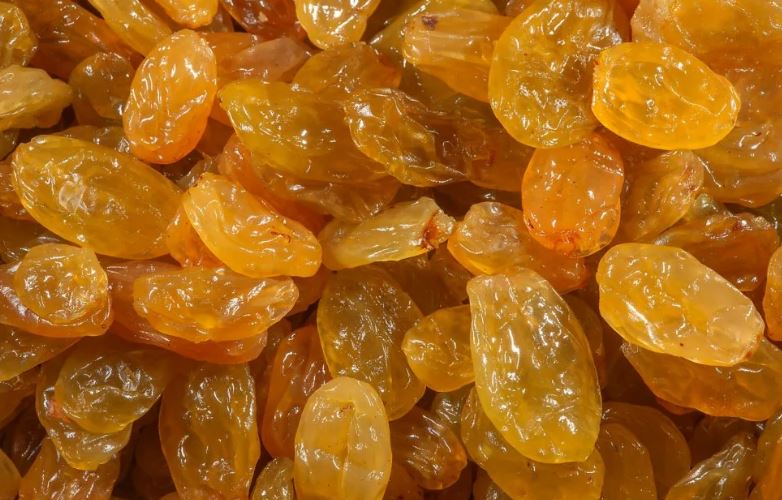 تصویر 1 از قیمت کشمش طلایی درجه یک + قیمت باور نکردنی