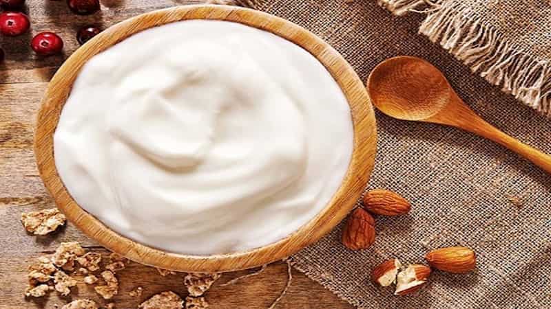 تصویر 3 از خرید ماست موسیر محلی + قیمت فروش استثنایی