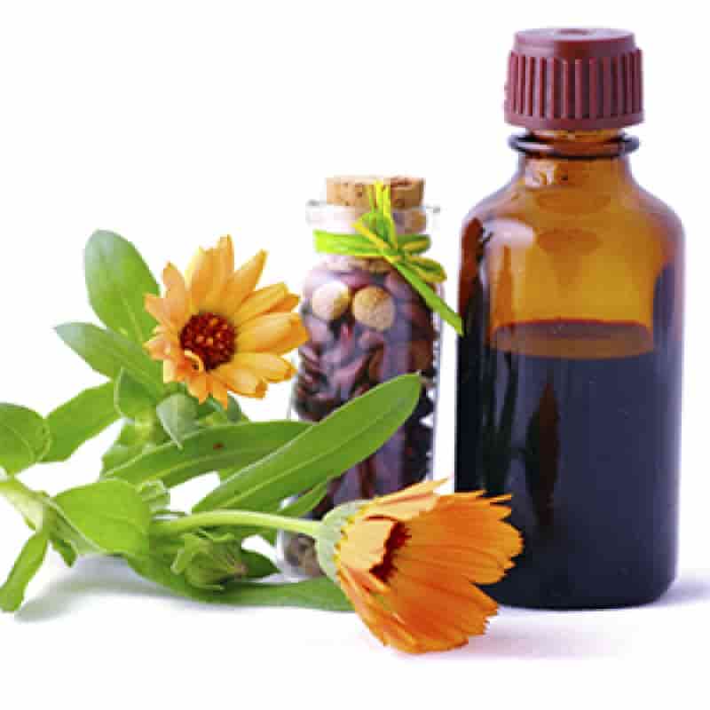 تصویر 4 از قیمت روغن گیاهی مو (ضد ریزش و تقویت رشد) + فروش ویژه