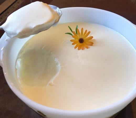 تصویر 2 از خرید و فروش ماست پروبیوتیک یونانی با شرایط فوق العاده
