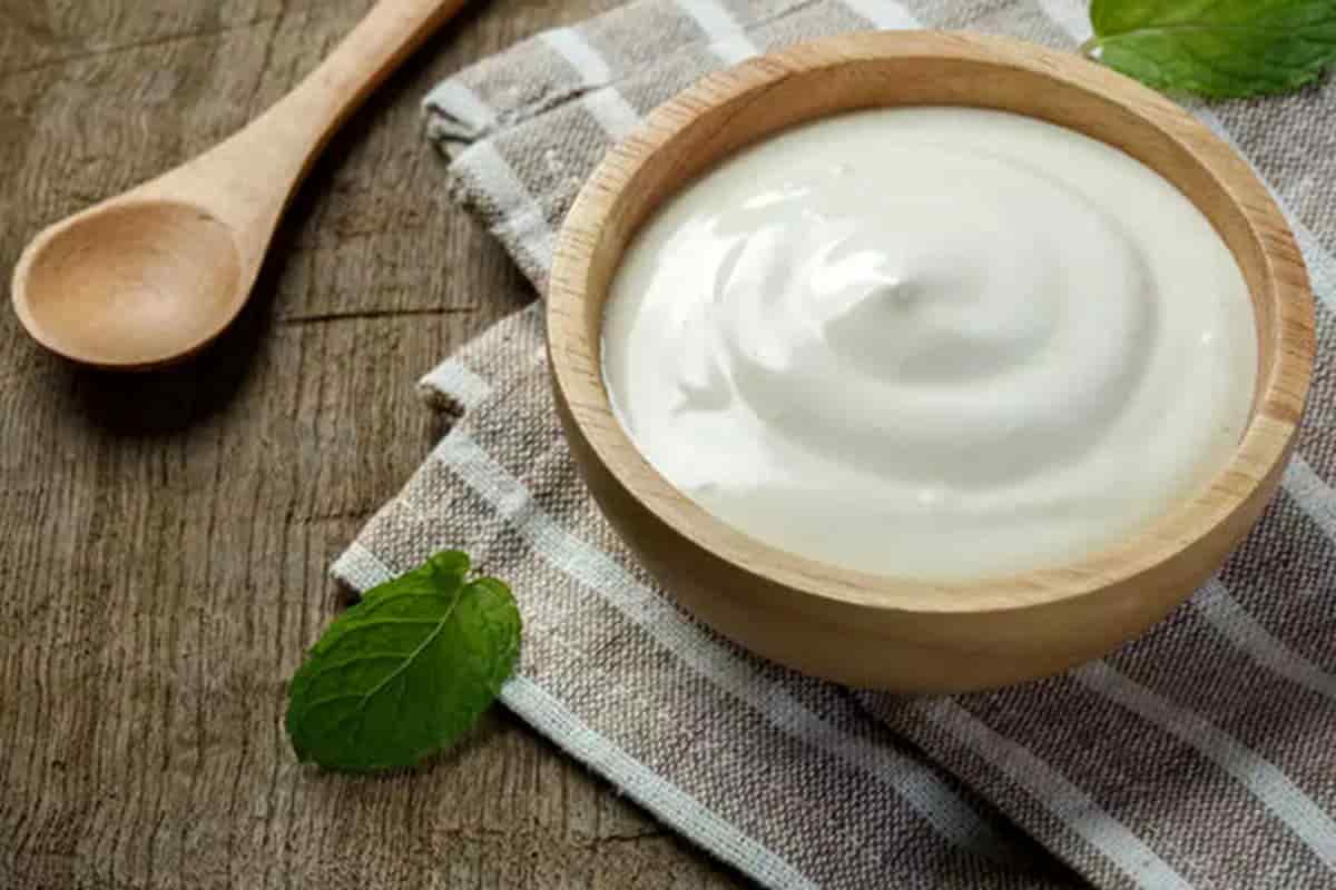 تصویر 5 از قیمت خرید ماست غلیظ شده با فروش عمده