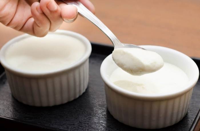 تصویر 4 از قیمت ماست تک نفره رستورانی + خرید باور نکردنی