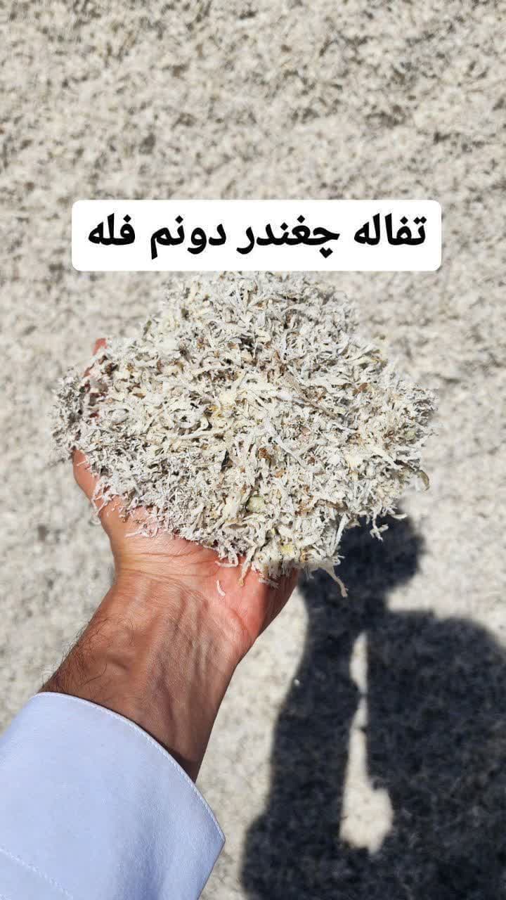 تصویر 2 از خرید تفاله چغندر همدان ارزان + قیمت